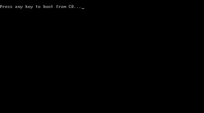 Example "Boot From CD" Prompt